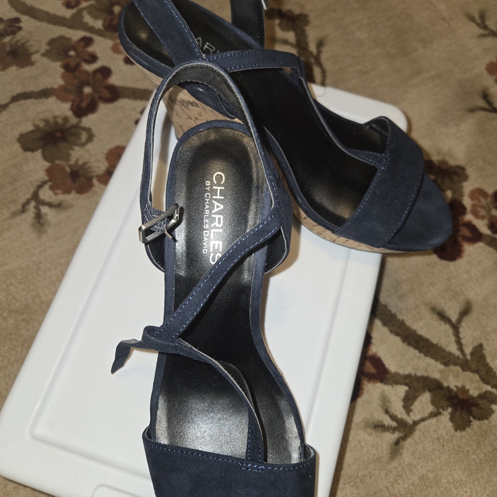 Charles David Navy Women's Sandals